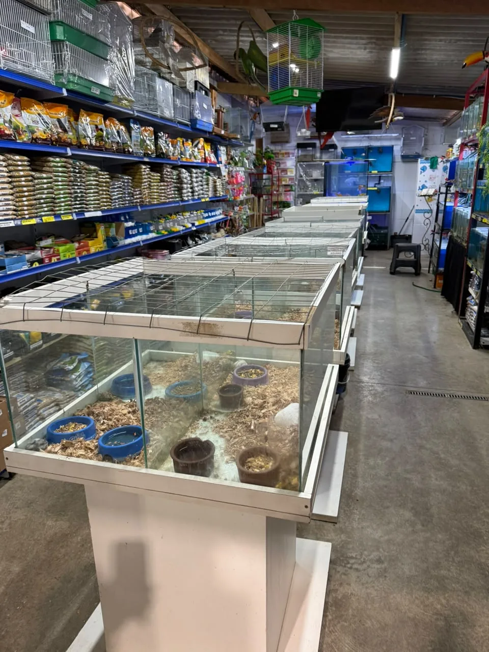 Gaiolas e itens para aves na Agromar